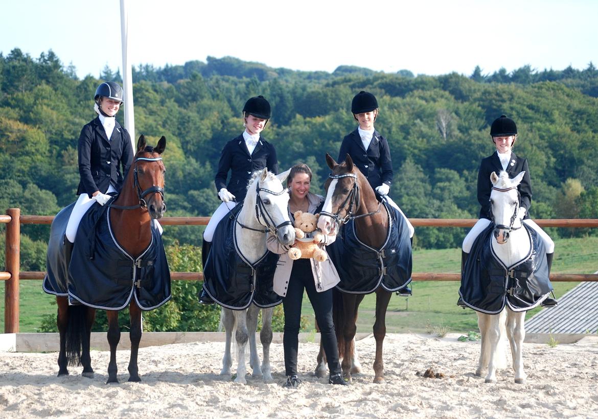 Hollandsk Sportspony Narco van de Beekerheide *B-pony!* - ♥♥DM hold 2013!! Tak for en FANTASTISK weekend piger - og Lisbet for at komme og varme os op!♥♥  billede 18