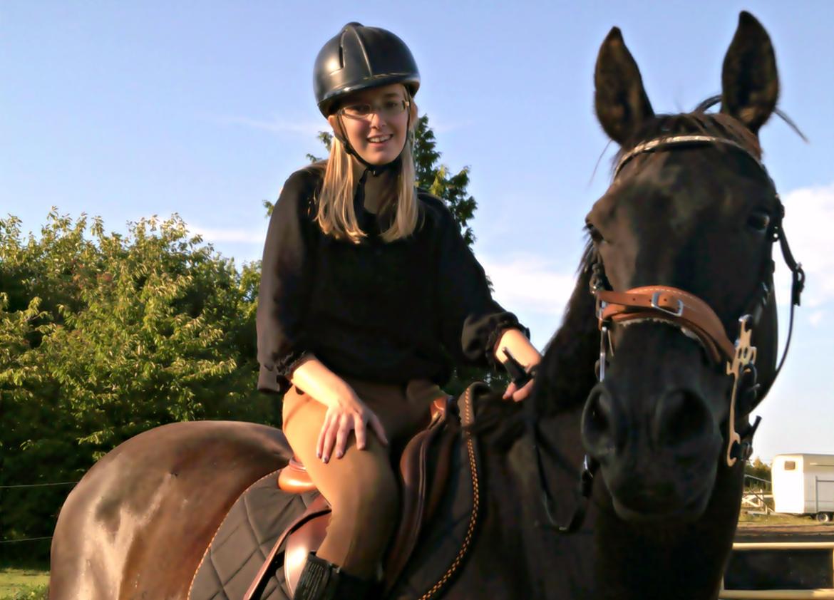 Dansk Varmblod Rughavens Linetta *Damphesten* billede 5