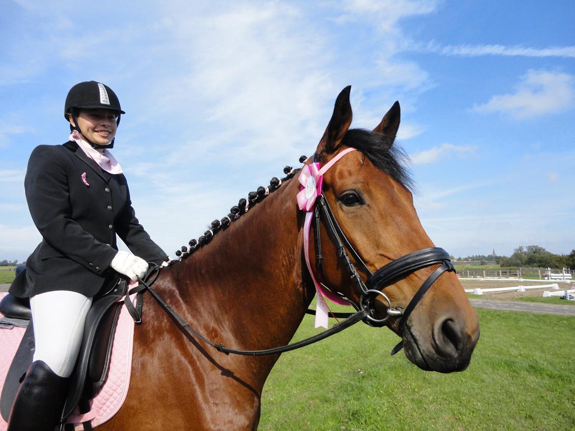 Dansk Varmblod Clair - STØT BRYSTERNE stævne på SAR d. 14.09.13 billede 10