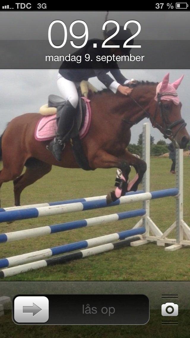 DSP De Bello billede 6