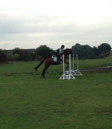 DSP De Bello billede 7