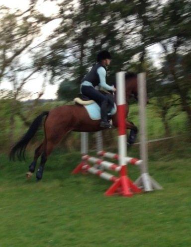 DSP De Bello billede 8