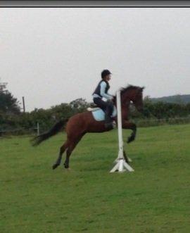 DSP De Bello billede 9