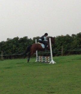 DSP De Bello billede 10