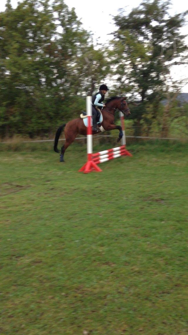 DSP De Bello billede 11