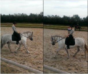 Irish Cob Tøsen - Dressur 2013. Hun er ved at lære det:-) Jaa min opstilling er ikke så god.. billede 12