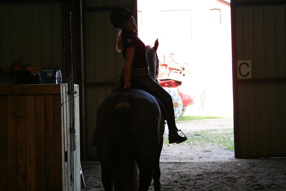 Connemara Mosegårdens Mascha  - når enden er god er alting godt!!!:) billede 20