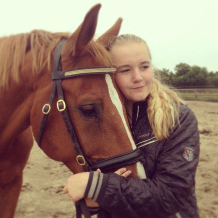 Tysk Varmblod Frohsinn (frø) billede 10