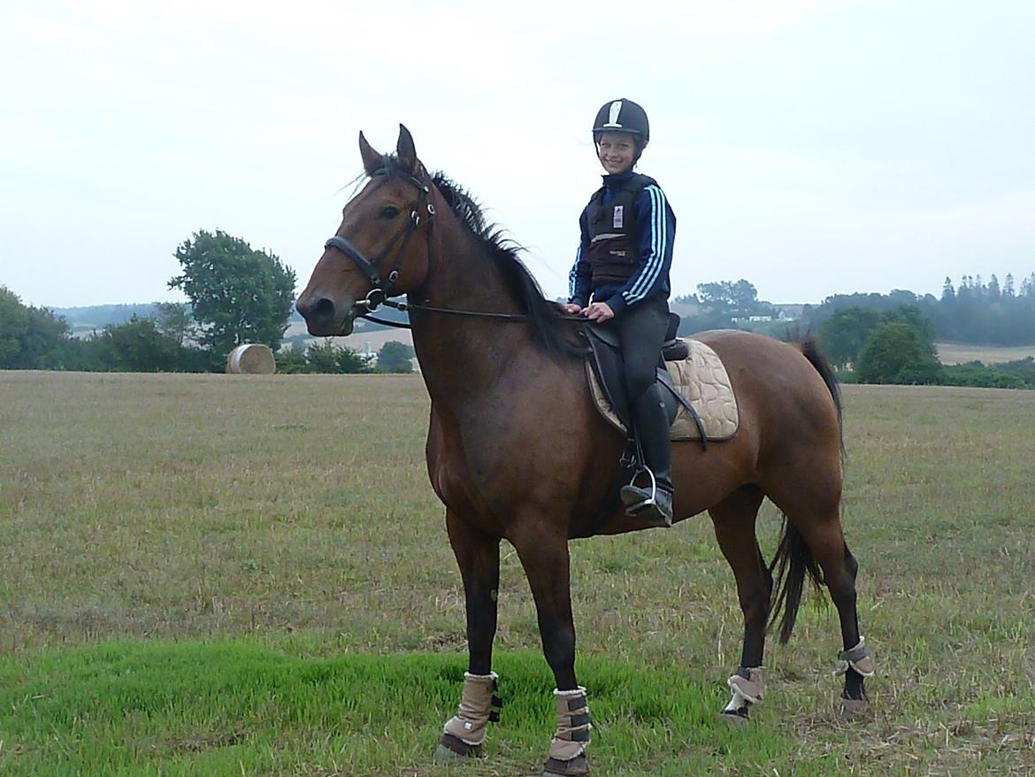 Anden særlig race Contess billede 12