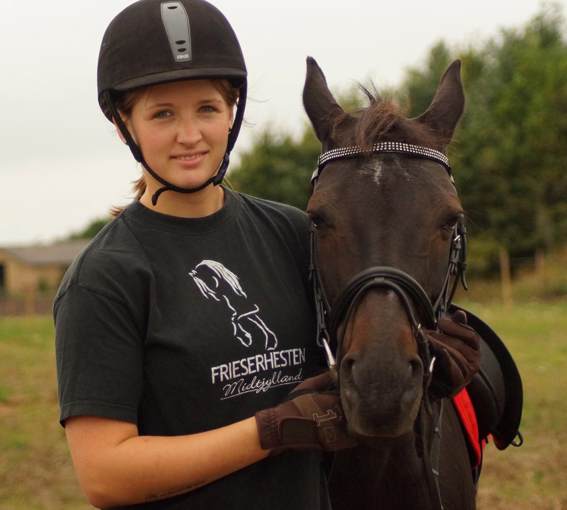 Tysk Sportspony Beauty - 2013 billede 28