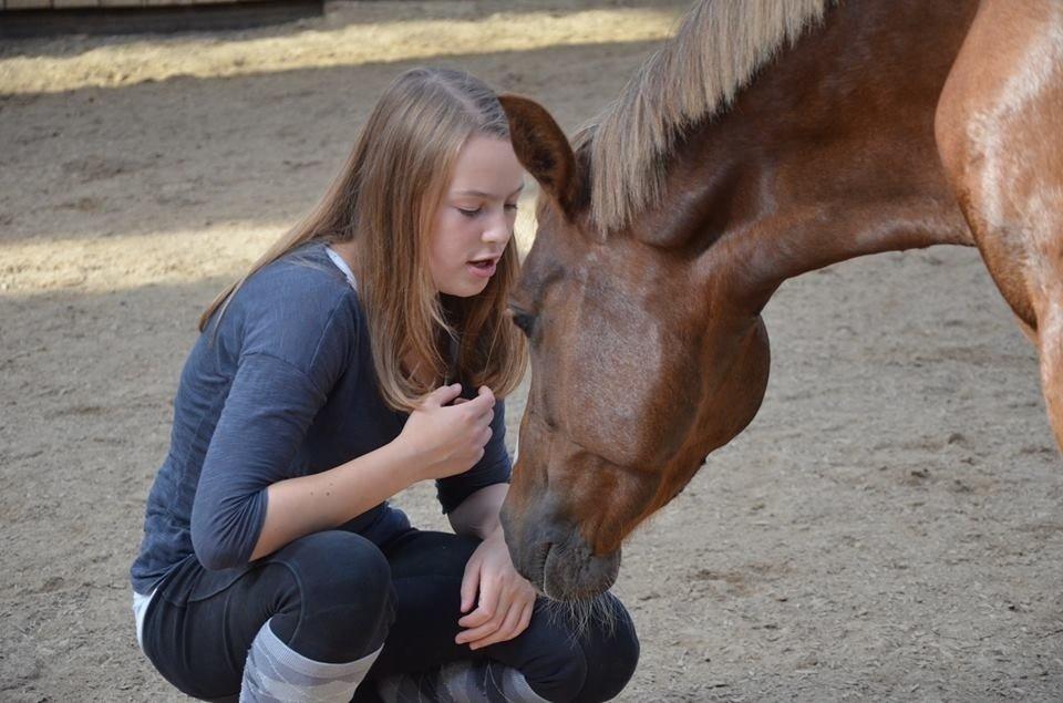DSP Toftlund's Prinsesse-Chi billede 8