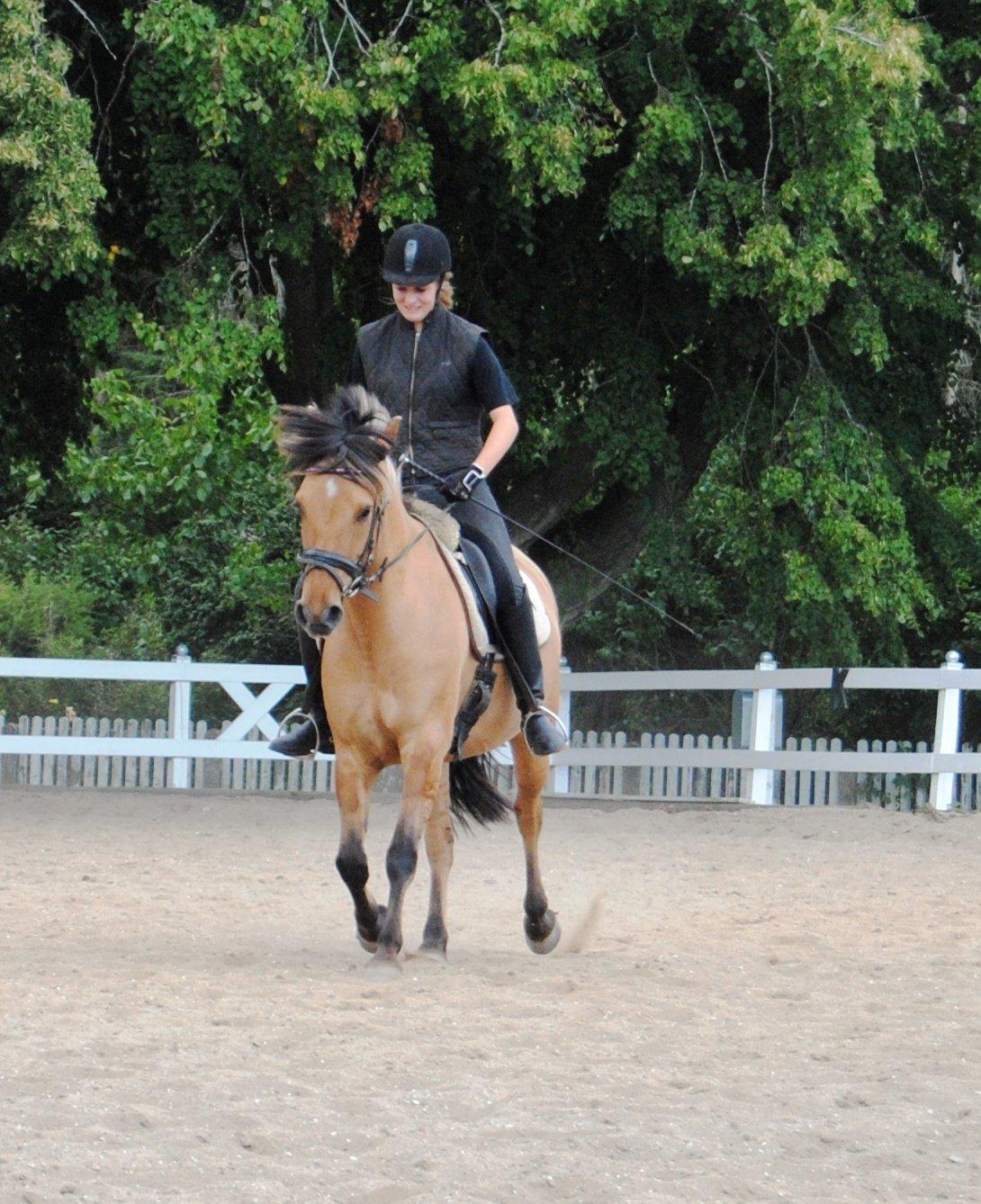 Anden særlig race Baunehøjgaards Ros- a-li billede 10