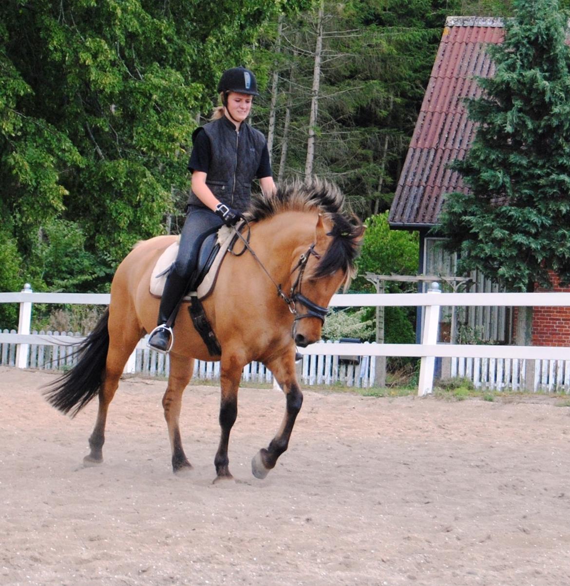 Anden særlig race Baunehøjgaards Ros- a-li billede 11