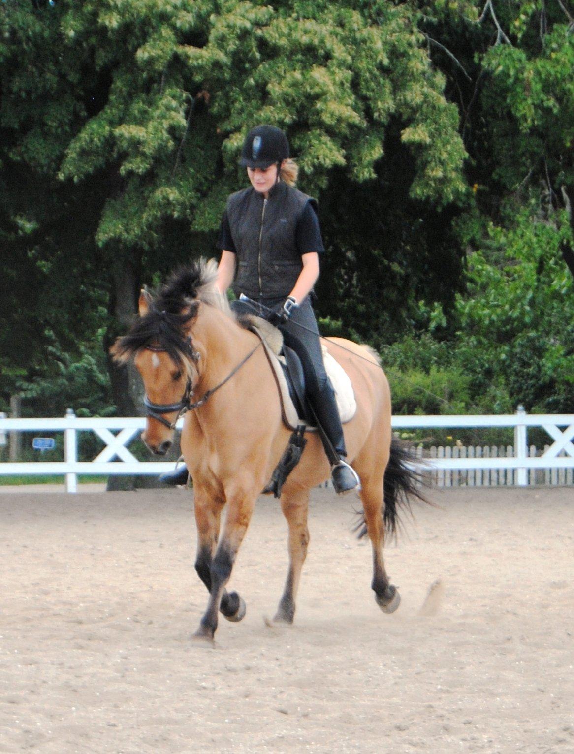 Anden særlig race Baunehøjgaards Ros- a-li billede 12
