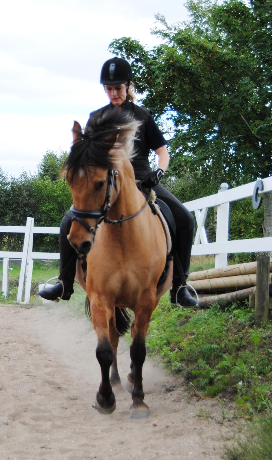 Anden særlig race Baunehøjgaards Ros- a-li billede 13