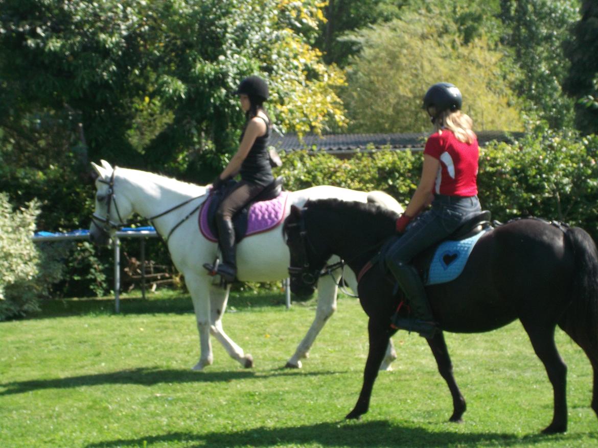 Welsh Mountain (sec A) * * * *Chanti* * * * my prinses ever <3<3<3<3<3333 - På tur med Carina, på Olivia og Chanti billede 23