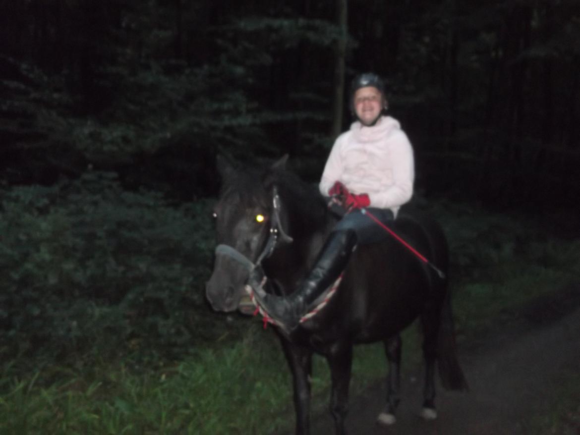 Welsh Mountain (sec A) * * * *Chanti* * * * my prinses ever <3<3<3<3<3333 - Aftentur sept 13 billede 24
