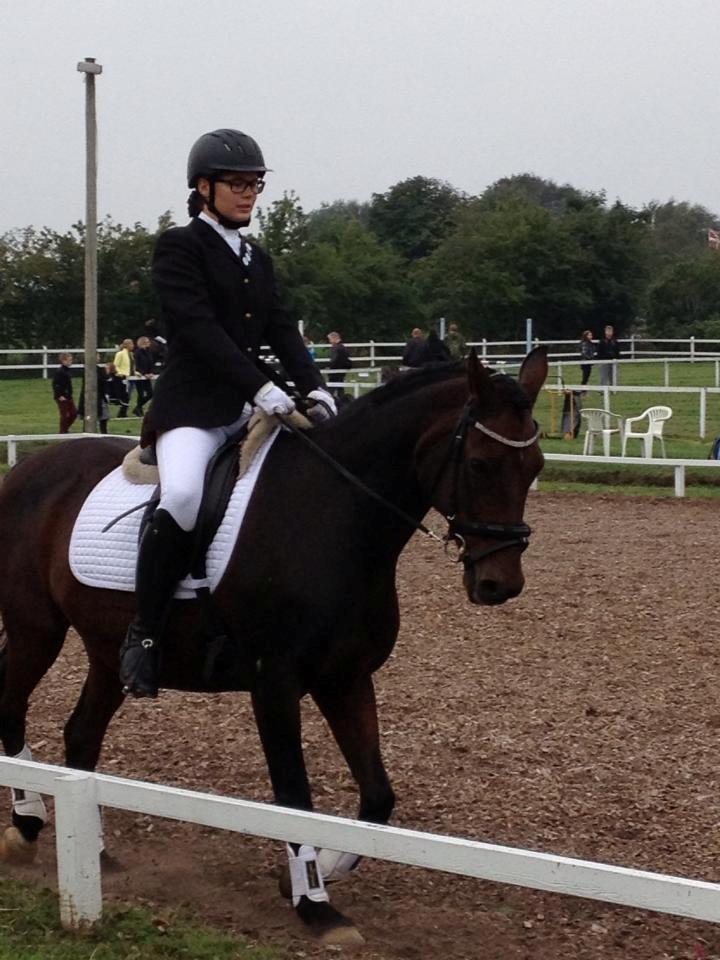 New Forest ''Salshøjs Tinto''   - Tinto og Malene stævne den 14/9-2013.. Sååååå stolte af jer !! <3<3 billede 3