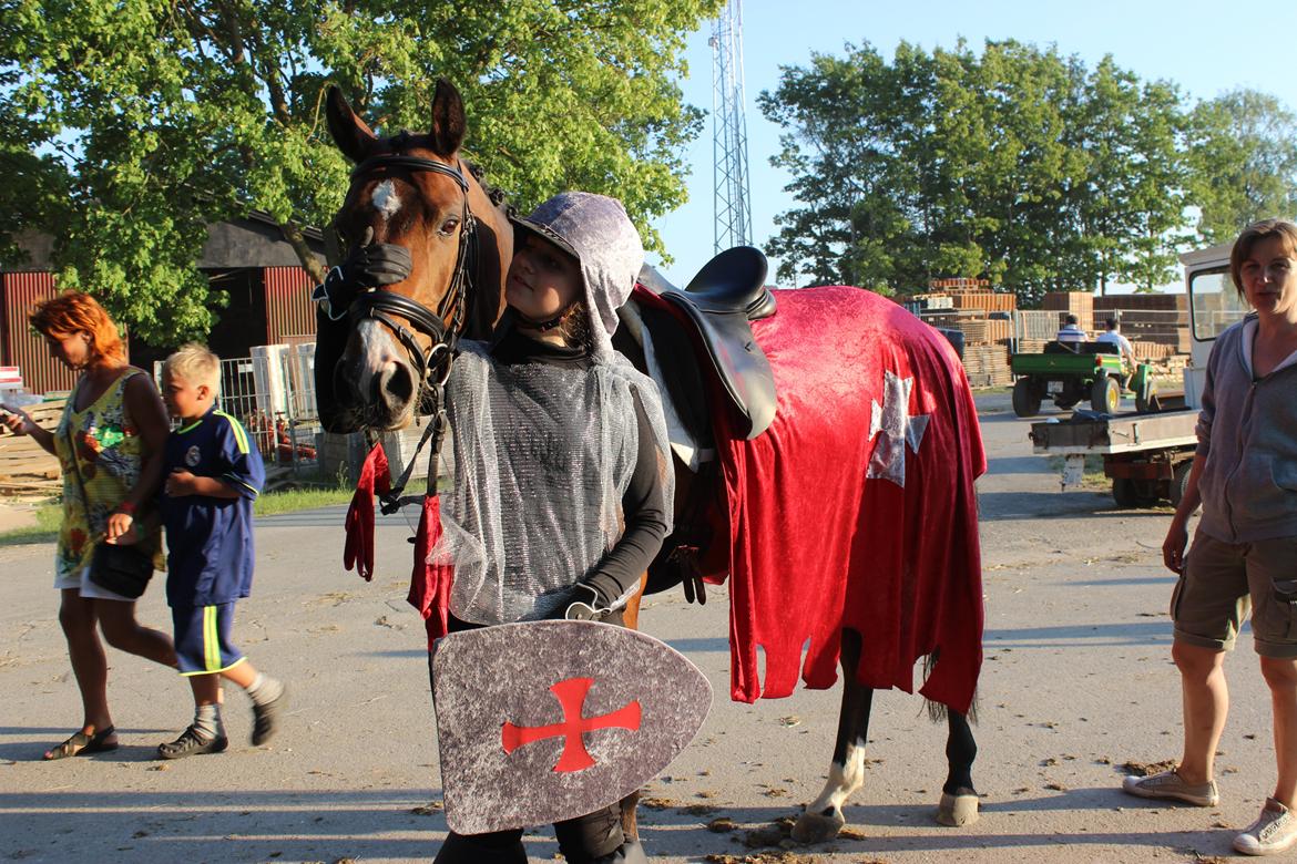 DSP Toftegårdens Alcazar B-pony billede 8