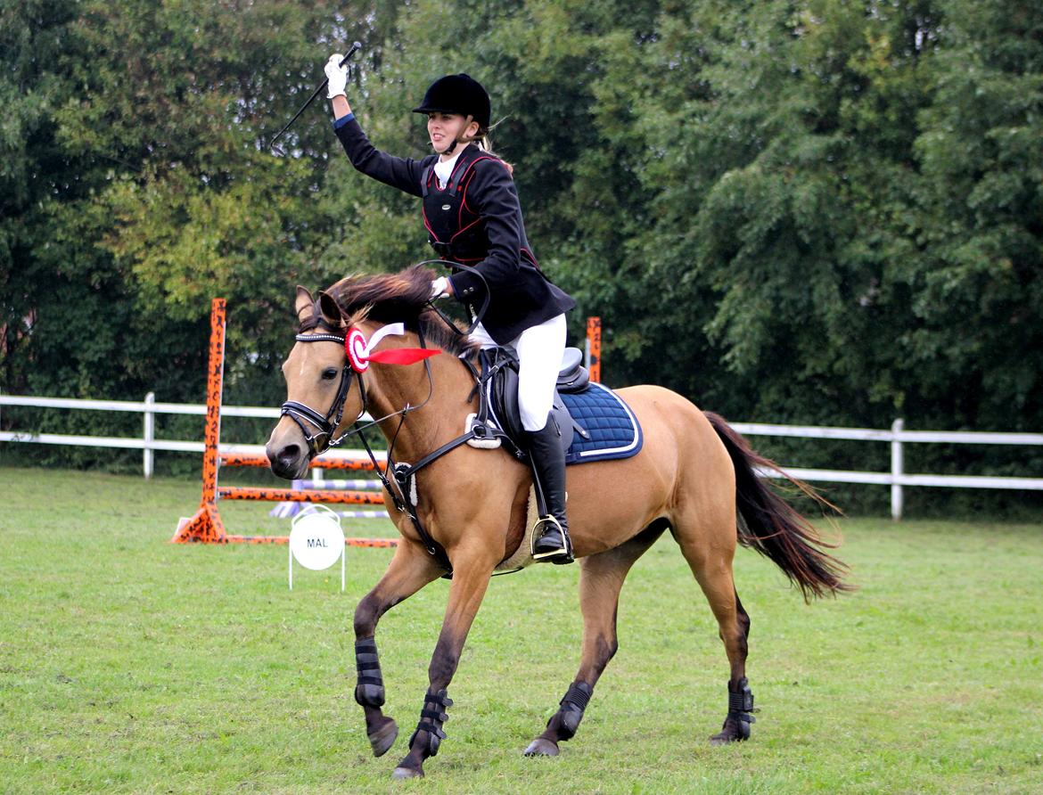 DSP Anemone Wales  - Æresrunde på den mest fantastiske pony! :') ♡ Lindgreen photography ♡ billede 16