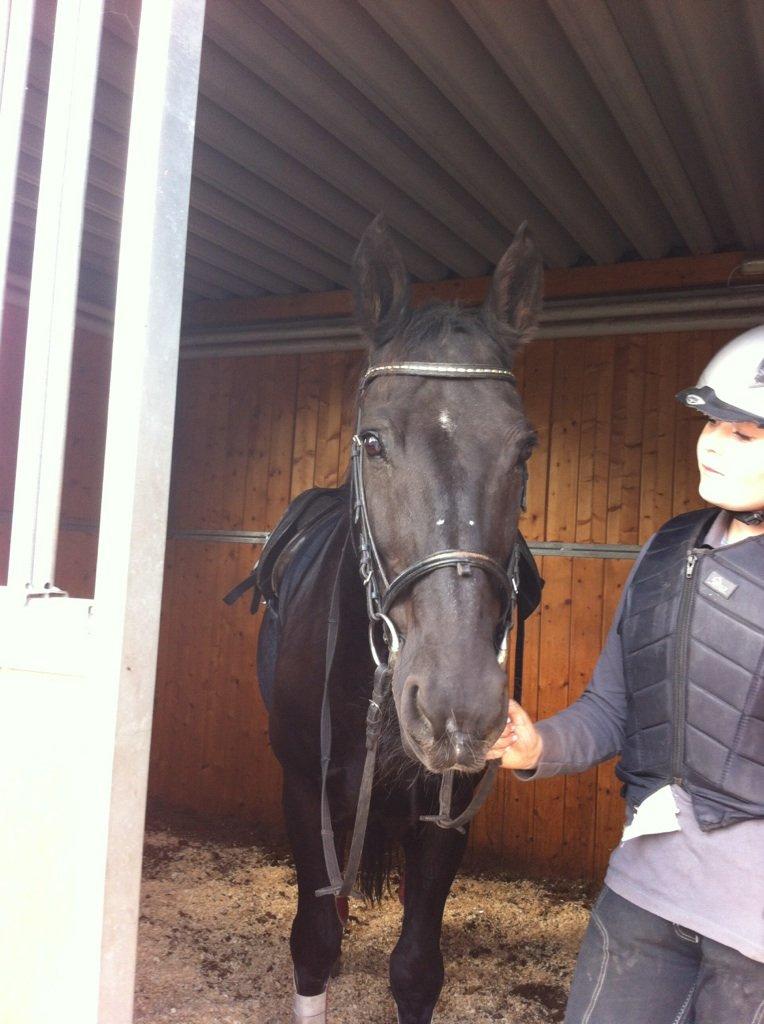 Oldenborg Bento /TIDL. PART/ - Dit smukke hoved!<3 
foto:Amalie billede 2