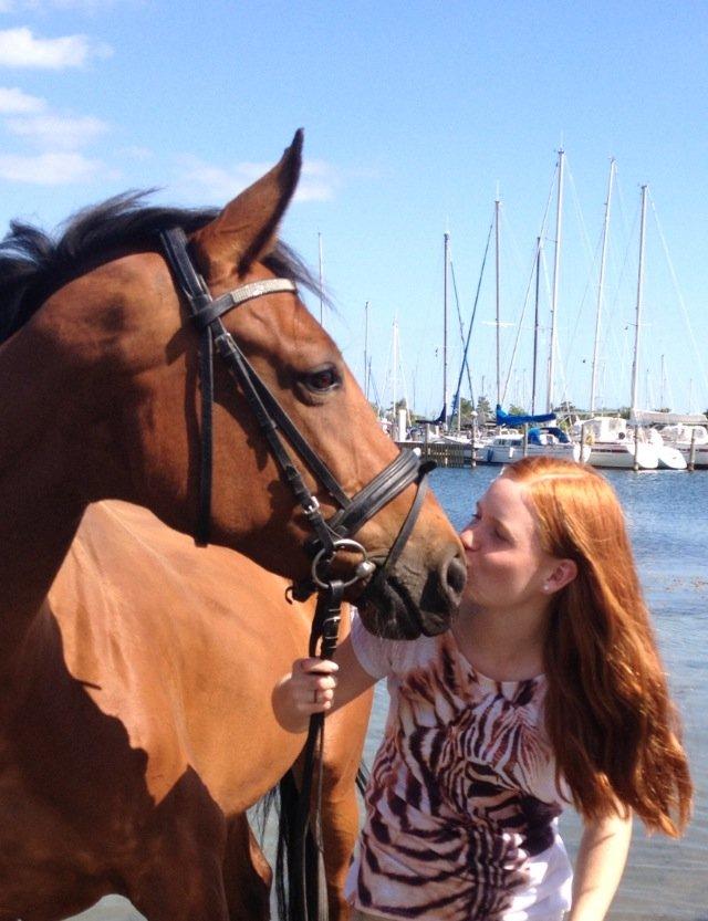 Dansk Varmblod Alicia - 2 årsdag D. 9/7 2013 billede 19