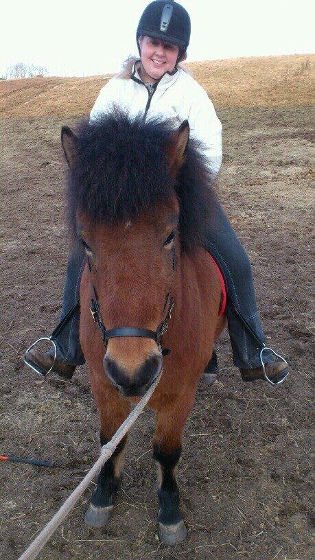 Islænder Sindri fra Spøttrup Mark - På ryggen af Sindri for første gang!!!  billede 12