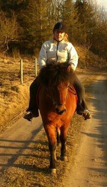 Islænder Sindri fra Spøttrup Mark - Tredje gang med rytter, vi red en tur i terrænet med mormor foran, dejlig tur. billede 14