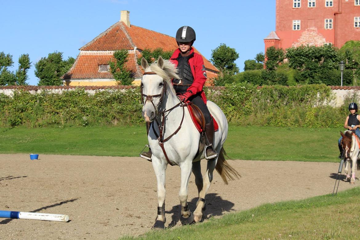 Anden særlig race Maicha - Sommer 2013 billede 7