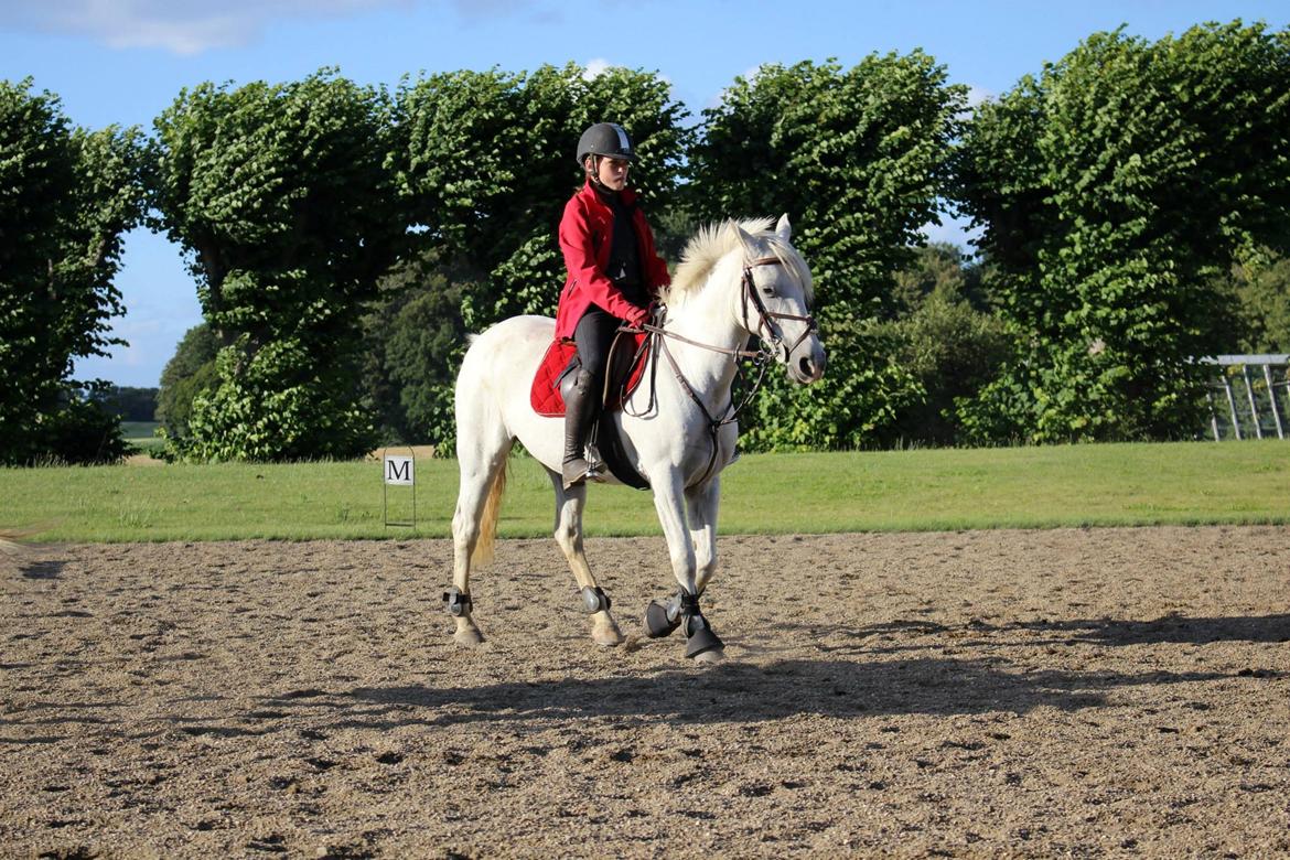 Anden særlig race Maicha - Sommer 2013 billede 8