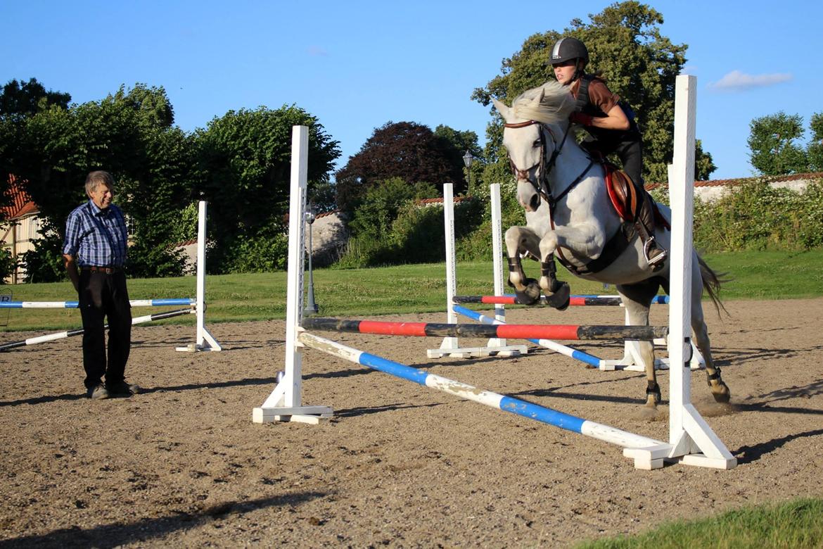 Anden særlig race Maicha - Sommer 2013 billede 10