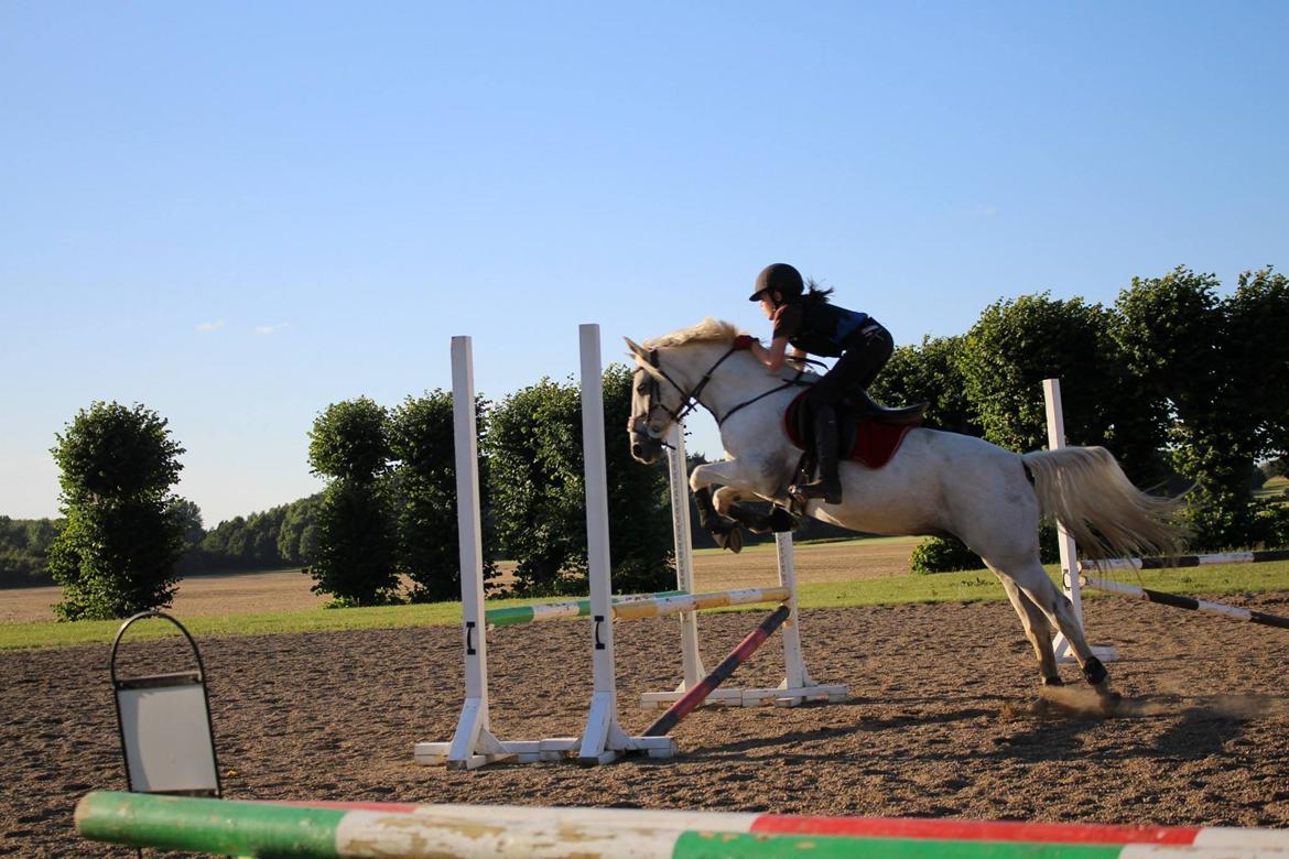 Anden særlig race Maicha - Sommer 2013 billede 4