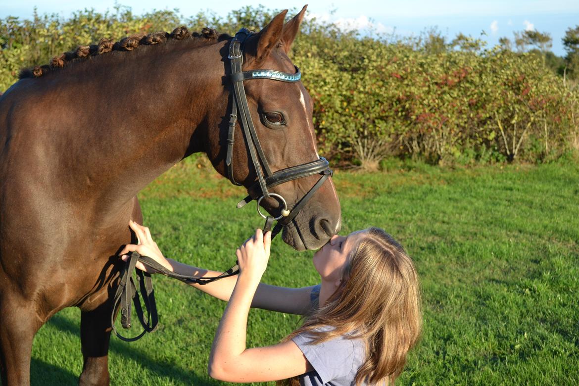 Anden særlig race Fabian - Intet bedre end ens bedste ven <3 billede 5