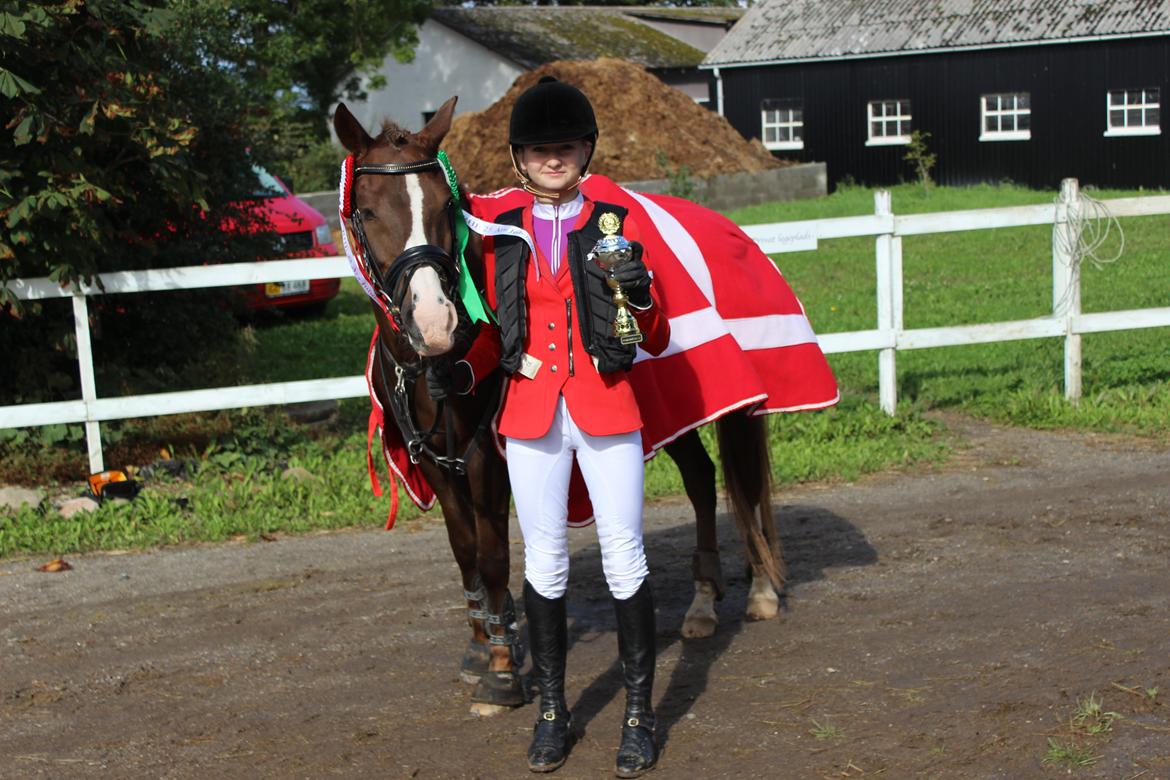 New Forest Koedijks Milano *Låner* - Spring (-: billede 18