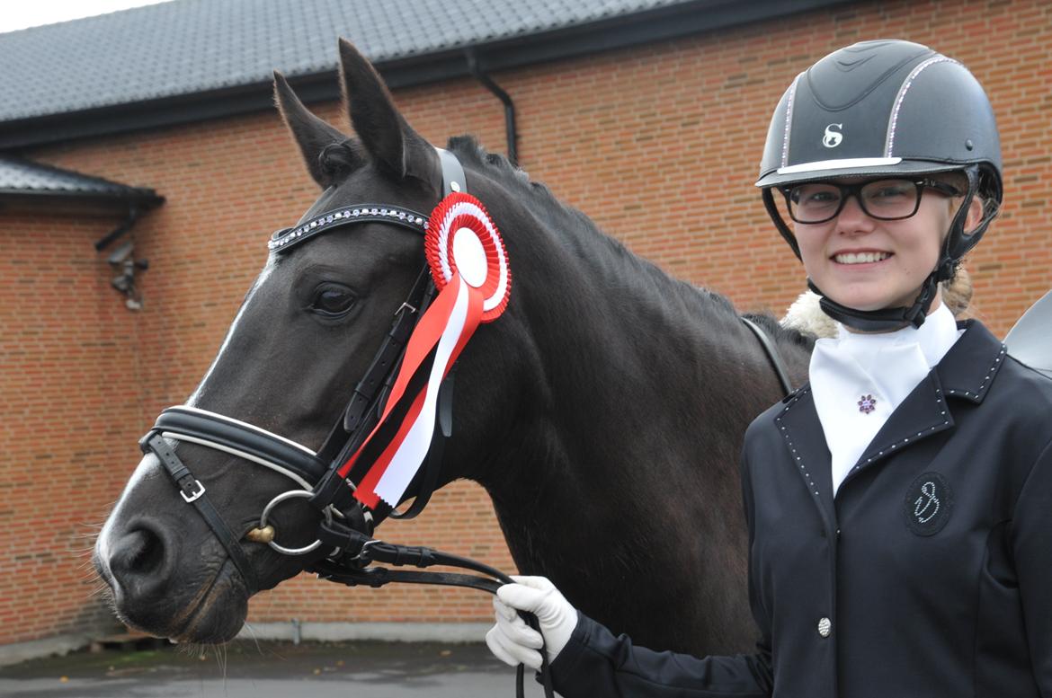 New Forest Iris B-PONY - Første LA5 og 6 i hus! 67,5% i LA5 og 68,1% i LA6 og vinder af klassen! <3 billede 29