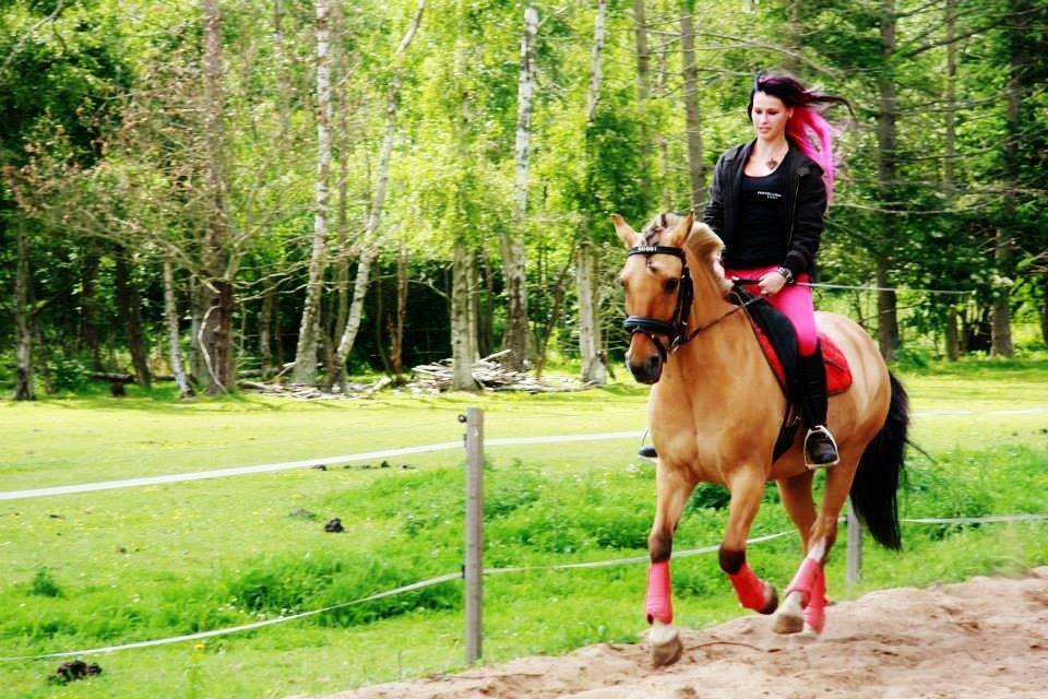 Anden særlig race Nuggi - Du får drømmen til at leve  billede 25