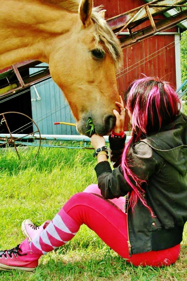 Anden særlig race Nuggi billede 26