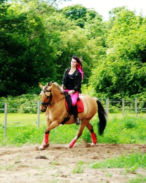 Anden særlig race Nuggi billede 33