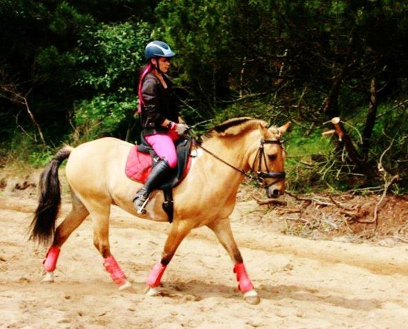 Anden særlig race Nuggi billede 39