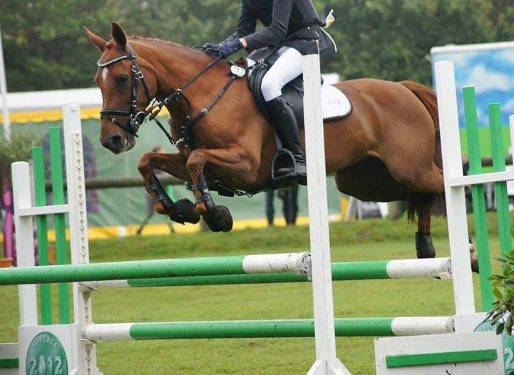 Anden særlig race Clements Penelope - Dk-cup finale LB** (fotograf:
Amanda Absalonsen Buskup finale) billede 3
