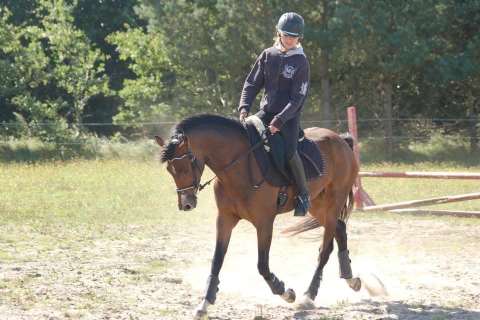 DSP Stidsbjergs Night Whisper - I love you.. Today, tomorrow, for ever<3 billede 13