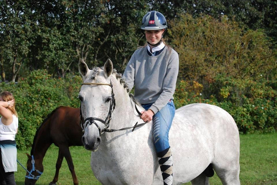 Anden særlig race Avangardas***Tykke*** billede 4