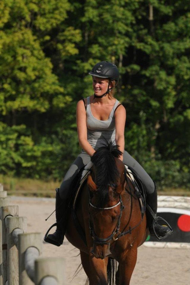 Dansk Varmblod Lajgårdens Crezanto billede 3