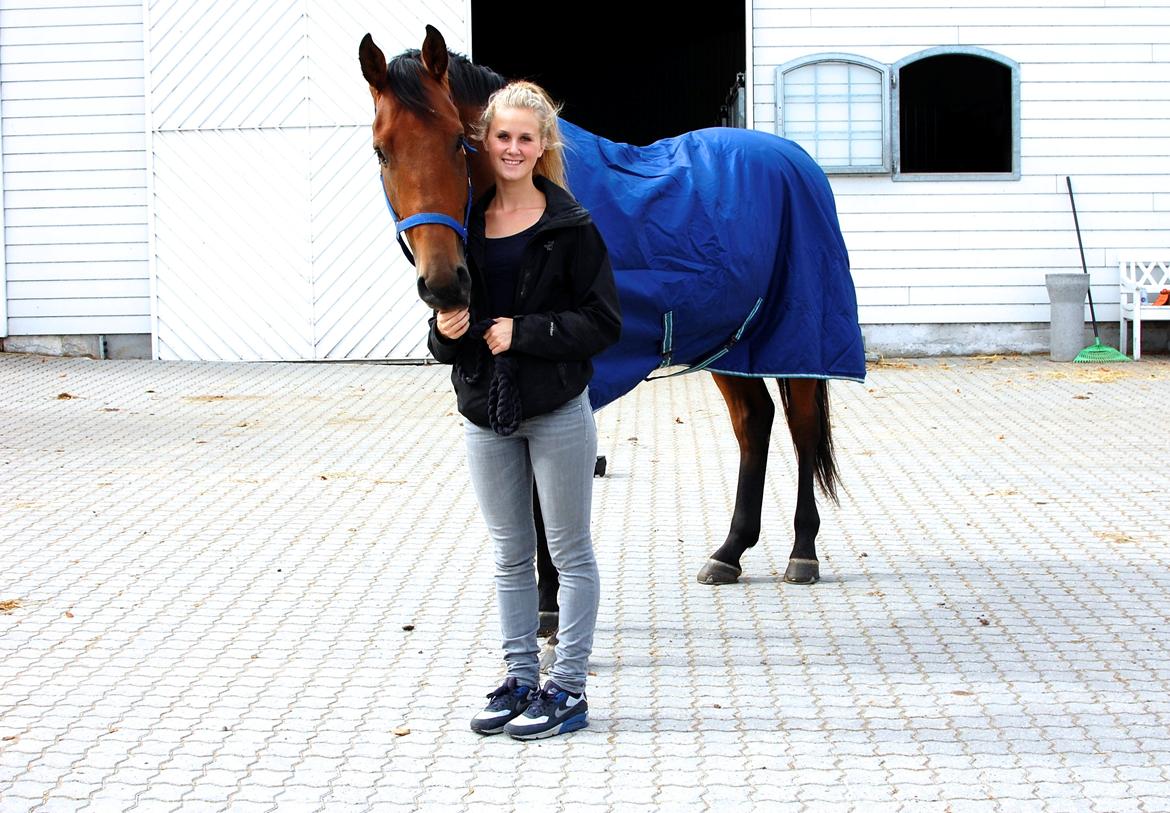 Dansk Varmblod Lajgårdens Crezanto billede 6