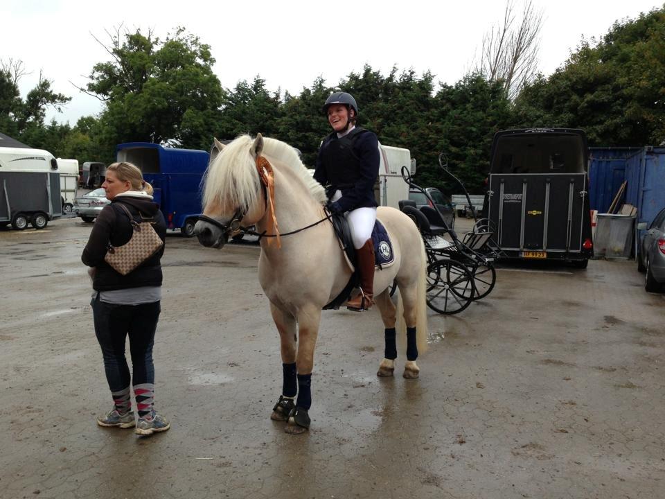 Fjordhest Højgaards Bacardi *RIP* - SM 2013 billede 9