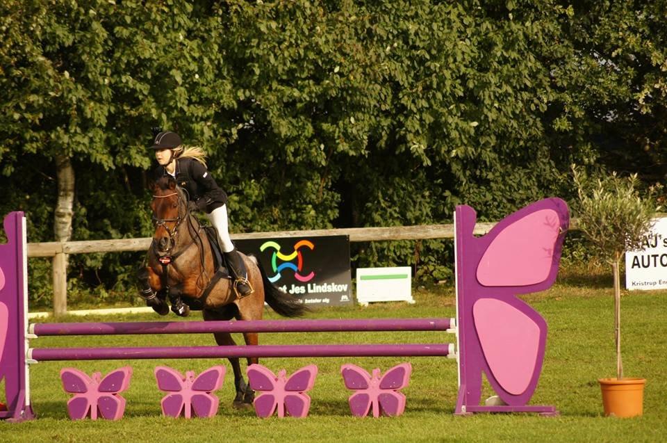 Anden særlig race Mr. Abel billede 2