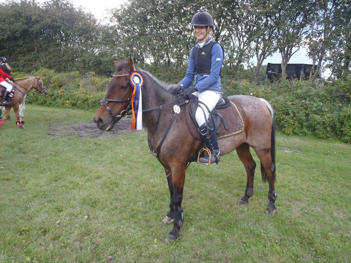 Anden særlig race Mr. Abel billede 3