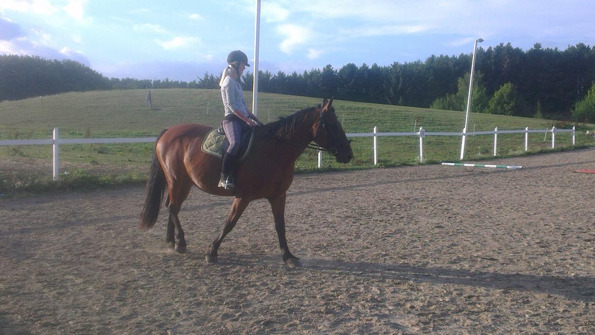 Anden særlig race tasja. billede 17