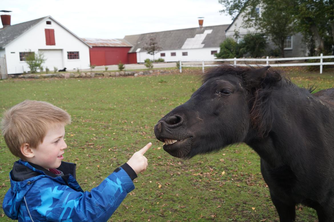 Anden særlig race Oliver - Oliver får Oliver til at smile<3
Foto: Mig billede 14