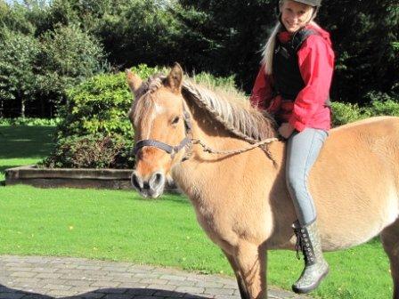 Anden særlig race Freja (mit et og alt)<3 - hun er bare den sødeste<3 billede 13